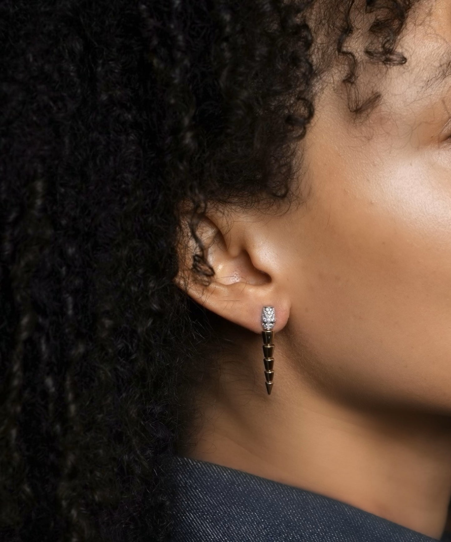 Serpent Earrings